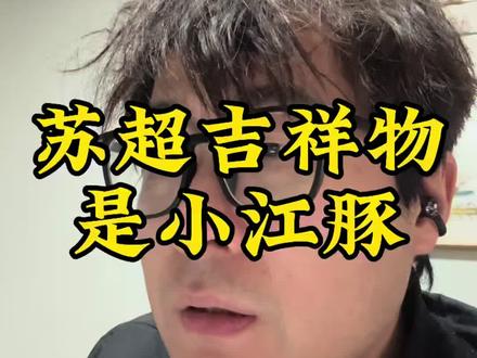 苏超吉祥物是江豚。#苏超 #吉祥物 #苏嘟嘟 #江豚