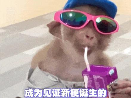 现在满脑子“vocal”#搞笑 #新梗词典 #vocal