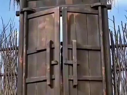 满脑子都是雪山、狐狸、酱板鸭。。。#新梗来了