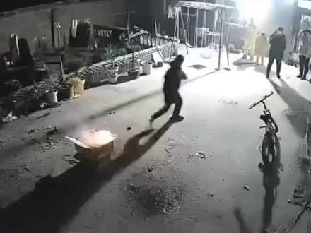 院子都快炸平了#烟花#倒了