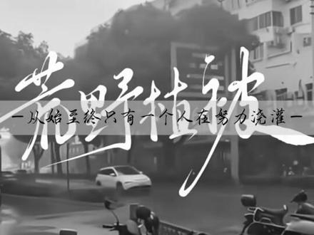 没人不爱麦香鸡呢四大名著#麦香鸡呢 #麦香鸡呢四大名著