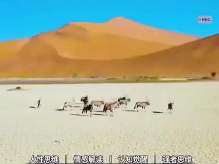 人的一生都在为自己的认知埋单