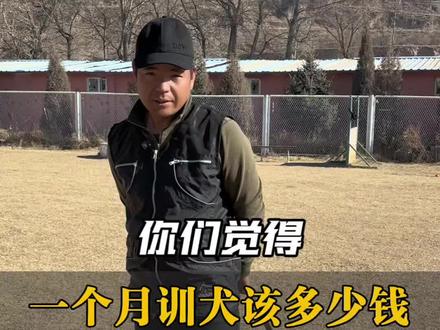 训犬一个月3000到底贵不贵?
今天不讲故事,只算一笔实在账!#训犬 #狗狗训练 #青海西宁 #养狗人 #性价比