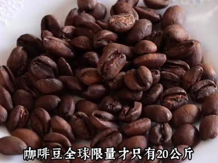 这才是真正的误闯天家