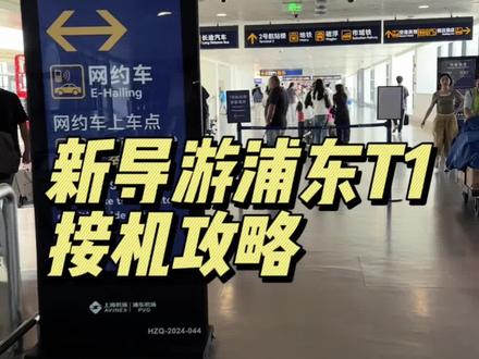 新导游浦东T1接机攻略‼️第一次做hhh#vlog日常