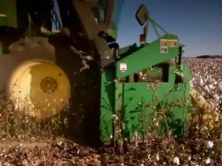 从棉花变棉线的生产过程,全部机械化效率很高