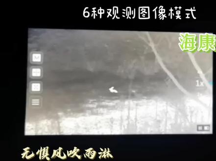 星火探野版观测兔子,这个效果如何?#热成像 #手机热成像 #海康热成像