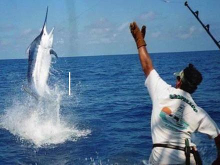 各种钓法人群数量排名,第一名不少于几亿人!#原来钓鱼才是抖音运动顶流 #钓鱼人 #钓鱼是抖音第一休闲运动