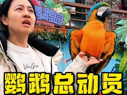 现场版鹦鹉品种大全! 一次性带你认识30多种鹦鹉#鹦鹉品种大全 #中大型鹦鹉 #鹦鹉博主 #鹦鹉品种 #北京鹦鹉园