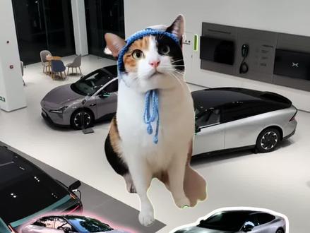 萝卜纸巾猫咪闯入汽车赛道!真棒👍 (猫咪素材:@超级无敌大开门 )#萝卜纸巾猫咪 #猫咪高智商才艺大赛 #小鹏汽车