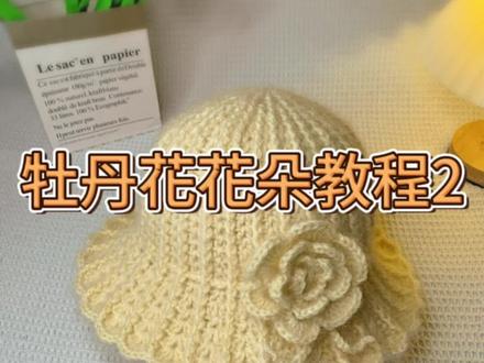 牡丹花花朵教程2#手工编织零基础教学 #帽子教程 #松鼠绒帽子教程 #毛线帽子的编织教程 #手工钩织编织帽子教程 @DOU+小助手