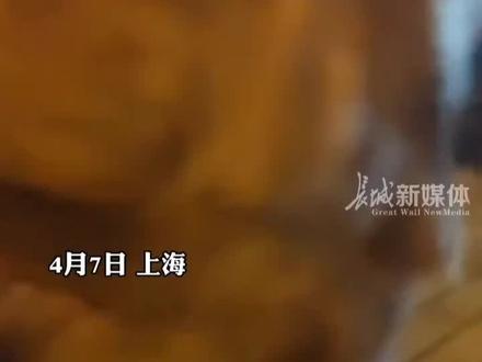 4月7日上海,#狗狗咬住刺猬5分钟不松嘴女子让狗狗吐掉后向刺猬道歉“以为是心疼小刺猬,原来是怕白仙惩罚”。