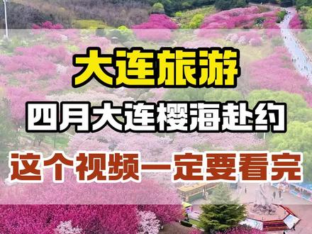 4月去大连看樱花🌸!大连春游季!#大连旅游攻略 #大连旅游推荐官 #大连必玩景点 #是时候出发大连春游了!#宝藏大连
