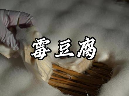 这样做出来的霉豆腐,简直就是下饭神器#霉豆腐 #农村美食 #挑战在家自制霉豆腐