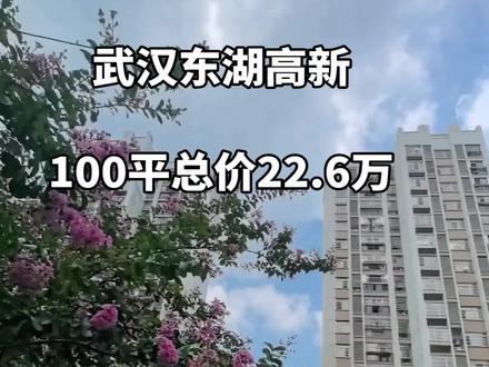 #实景拍摄 花城家园100平电梯房