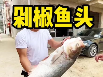 五十多斤养殖的大花鲢、做双色剁椒鱼头,鱼肉滑嫩鲜辣开胃、简直太好吃了!#我的乡村生活 #我的农村生活 #新农人计划 #剁椒鱼头