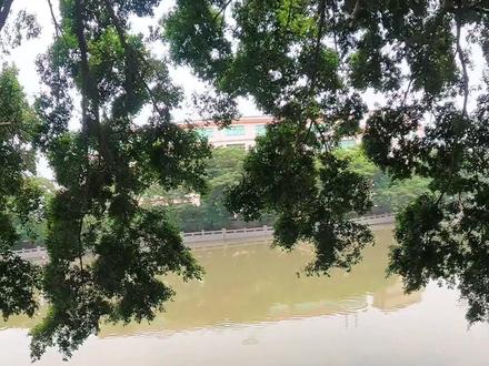 钓邦奇鳟测试,杆子1.35米枪柄4节UL便携杆,轮子禧玛诺阿德BFS#路亚野钓 #路亚杆测评 #周末的正确打开方式