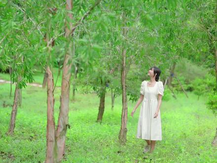 硬汉,像铁一样坚固的树-铁架木
#园艺 #花卉绿植 #大自然