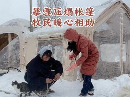 一个人自驾3年,露营在新疆伊犁,暴雪突袭压塌我的三室一厅帐篷,重建时牧民小哥热心相助,小米焦急守在我身边,这趟旅行满是意外温情!#自驾游全国 #新疆伊犁#户外露营#毛孩子的爱最纯粹 #原创视频