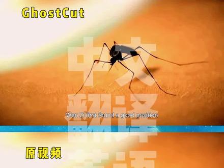 海外中视频计划的creator使用这个工具可以帮助快速生产内容#视频翻译 #视频剪辑 #翻译配音 #tiktok