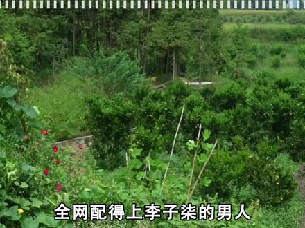 一个比肩李子柒的男人,看他的视频有多上头!#彭传明 #李子柒 #传统手艺