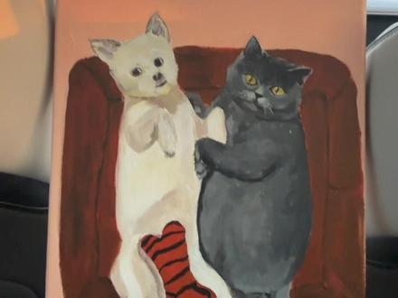 我的猫猫狗狗十岁啦~ #毛孩子的日常 #猫猫狗狗