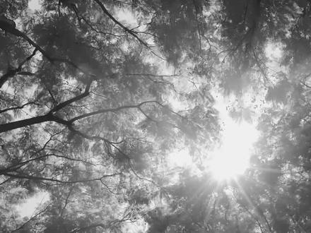 23年风雨兼程,23年群策群力。历经沧桑而初心不改,饱经风霜而本色依旧。未来,我们将与时俱进,守正创新,更好的服务全球钓鱼人。#不忘初心砥砺前行 #海龙王