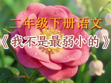 二下语文《我不是最弱小的》课文朗读#二年级下册语文 #我不是最弱小的 #课文朗读 #课文动画