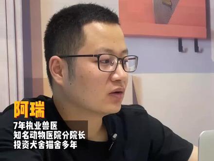 在淘宝买狗靠谱吗?#新手养狗 #科学养宠攻略 #狗狗 #约克夏 #雪纳瑞