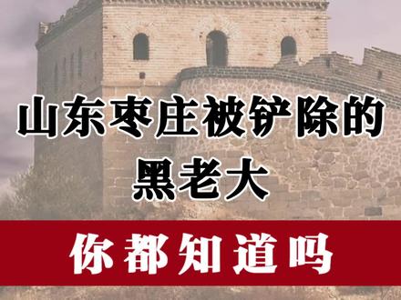 山东枣庄被铲除的黑老大 #枣庄 #黑老大 #扫黑除恶