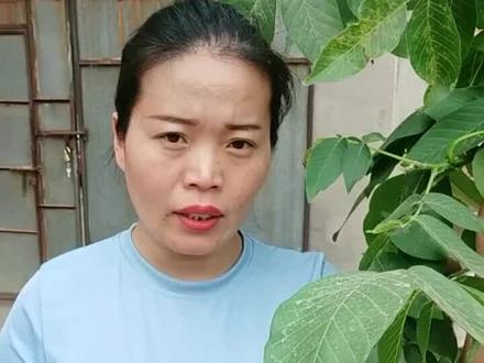 解决青春期烦恼的核桃叶?(下)#小妙招大作用 #核桃叶 #核桃叶煮水 #生活小妙招 #实用小妙招