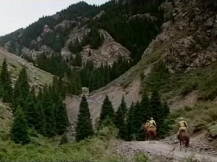 冰山上的来客-44
阿米尔来报道了。