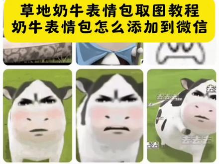 草地牛表情包取图教程来了,草地牛表情包微信怎么搜,奶牛表情包微信搜什么,奶牛表情包取图教程,奶牛表情包制作教程#chockypoocky黑白小奶牛表情包 #奶牛表情包微信搜什么 #草地牛表情包 #奶牛表情包动态微信 #即梦ai 微信奶牛表情包微信搜什么,毛绒绒表情包教程,牛牛可爱表情合集,毛绒绒表情包制作教程,牛的卡通图片,牛牛形象创意图,牛:给你个表情自己体会,牛马头像原图,草地牛表情包哭,泪流满面草地牛,卡通牛吃草图片,草地牛都在欺负萌萌的我,草地牛精彩瞬间,牛草地表情包 草地牛表情包 草地牛微信表情包 草地上的牛表情包 最近很火的牛的表情包 草地牛牛 草地牛牛表情包微信 草地牛牛表情包微信怎么搜 草地牛牛聊天表情包 草地牛牛微信表情包 草地牛牛高清表情包 草地牛表情包制作 草地牛表情包制作微信 草地牛表情包gif 草地牛表情包制作教程 草地牛表情包取图教程 草地牛表情包怎么获取 草地牛牛表情包怎么获取 草地牛高清表情包 草地牛牛高清表情包 绿色草地牛表情包 草地牛牛表情包取图 草地牛表情包取图 牛牛表情包 草地牛原图 草地牛表情包p图 草地牛原图下载方法 草地牛原图获取 草地牛原版 草地牛动画