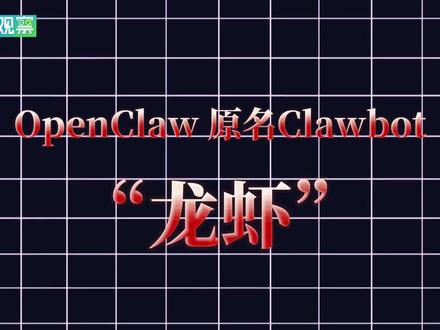 2026开年顶流——AI“龙虾”,今天你养“龙虾”了吗!#网上为什么多了一批养龙虾人 #AI养龙虾警惕安全风险 #媒体精选计划