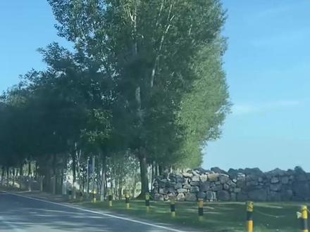 膛线是如何制作的 #科普 #膛线 #动画