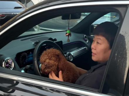 回家喽!从杭州自驾到北京要用多长时间?#vlog日常#旅行#旅行vlog#回家#北京