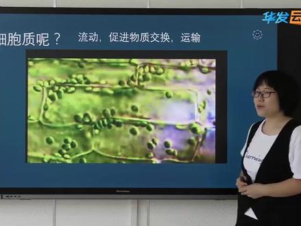 冀少版冀教版生物7上-细胞各部分的功能,细胞的分裂与生长