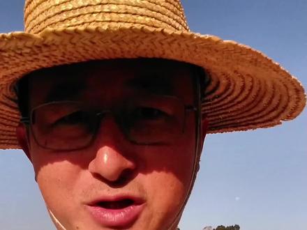 当地人给您讲“毒红薯”事件 #云南建水毒红薯#云南建水县小旷野村#违禁农药甲拌磷农残#什么可以放心吃#天造食物