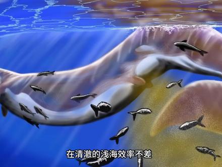如果一只龙王鲸穿越到现代海洋,他还能重回食物链巅峰吗? #科普 #知识 #史前巨兽 #龙王鲸