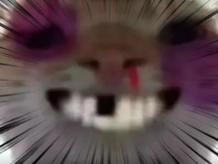 哈基米圈四大冥王! #哈基米 #猫咪 #离谱