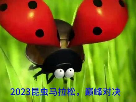 昆虫马拉松比赛,虫子的巅峰对决#昆虫总动员 #虫虫大作战 @DOU+小助手