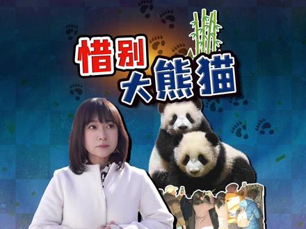 日本熊猫迷又哭了 惜别最后两只大熊猫 有人说“熊猫是恩人” 日本人对熊猫一定是真爱:“熊猫给我活下去的力量”,“熊猫是我的恩人”。东京上野动物园,最后两只大熊猫要回国了,日本老百姓来依依惜别。
#全球创作者计划 #热点零距离 #日本