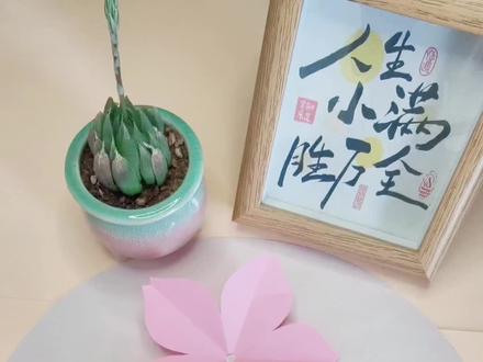 春天是花开的季节!#樱花#简单剪纸 #手工 #非文化遗产