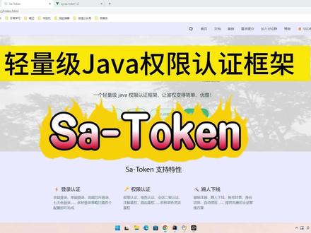 轻量级java权限认证框架SaToken,简单易用,上手即会 #java #程序员 #若依框架 #前端