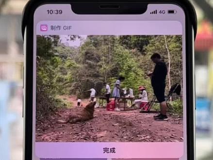 相册里的视频和实况照片,转化为GIF动图,发到各种平台就都能动了,不需要下载软件,苹果自带功能的小技巧