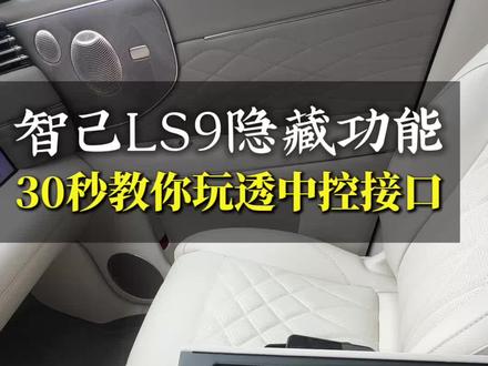 智己LS9的中控都有何用处#每天一个用车知识 #汽车知识分享 #实用小技巧 #汽车冷知识 #智己LS9