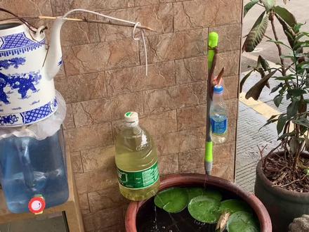 零成本自制永动机小流水,鱼缸免换水,水质清,鱼儿活跃简单易学