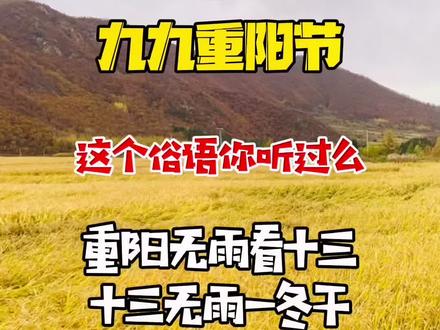 重阳节到了,这个俗语你听过么?#网络中国节 #陪你一起过重阳