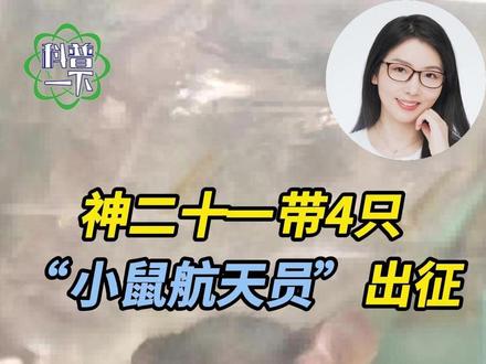 300选4!神二十一“小鼠航天员”是怎么“卷”出来的? #神二十一 飞船“乘客”藏惊喜!除航天员外,4只“太空鼠”一同奔赴太空,这是国内首次在轨做啮齿类哺乳动物空间科学实验。小鼠们为了上太空,经历哪些超严格的“鼠界航天员”选拔?它们在太空的生活又是什么样的?请专家#科普一下 #小鼠航天员