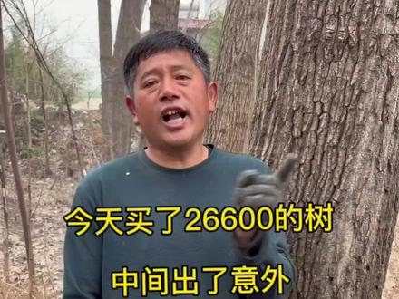 今天买了粉丝两万多的树#神奇的闲鱼